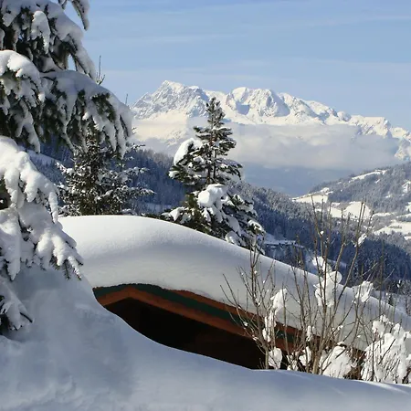 Chalet Ebner Eben Im Pongau